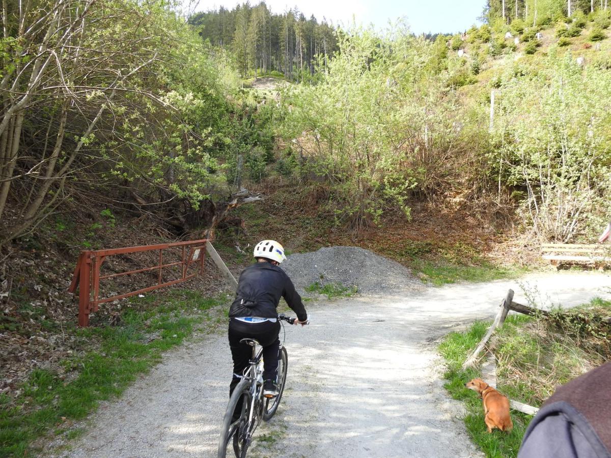 Pension Alpenrose Zell am See Ngoại thất bức ảnh
