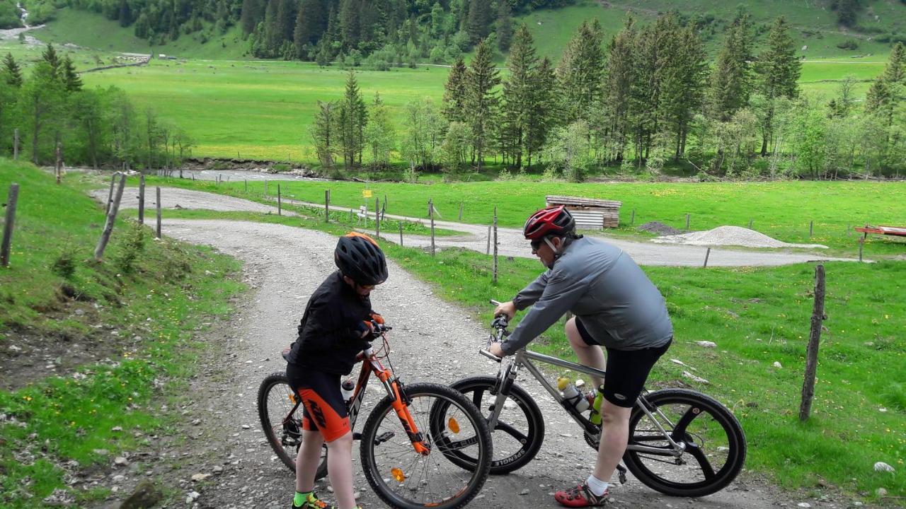 Pension Alpenrose Zell am See Ngoại thất bức ảnh