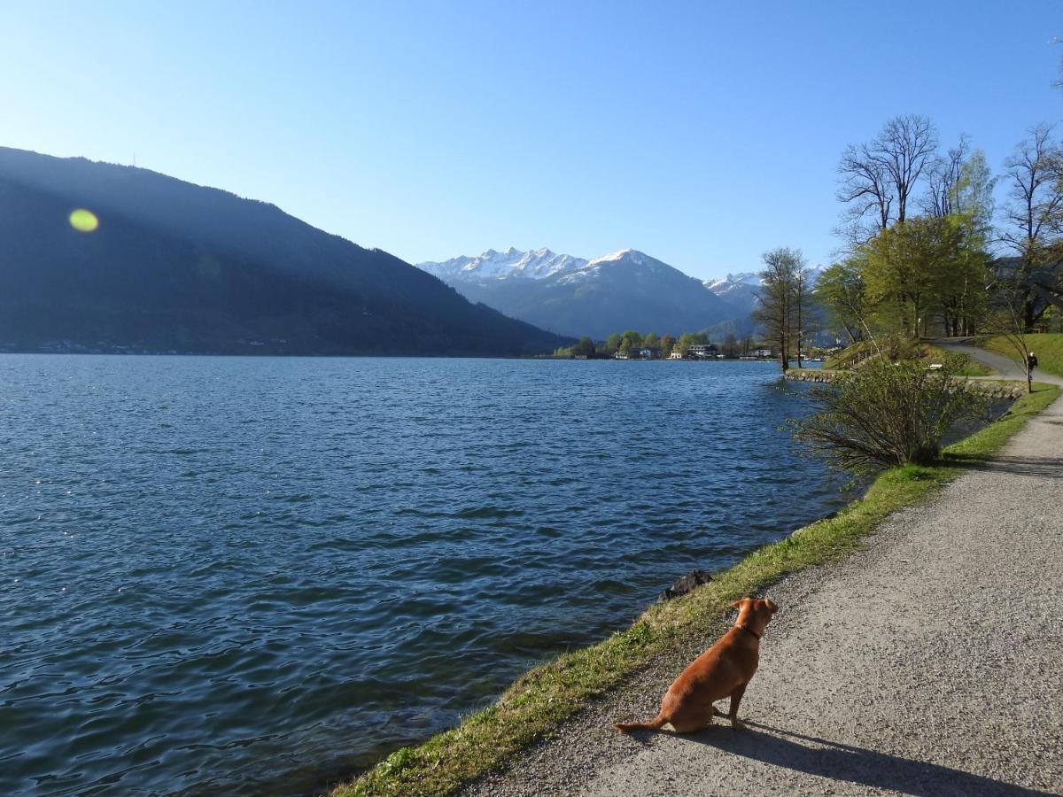 Pension Alpenrose Zell am See Ngoại thất bức ảnh