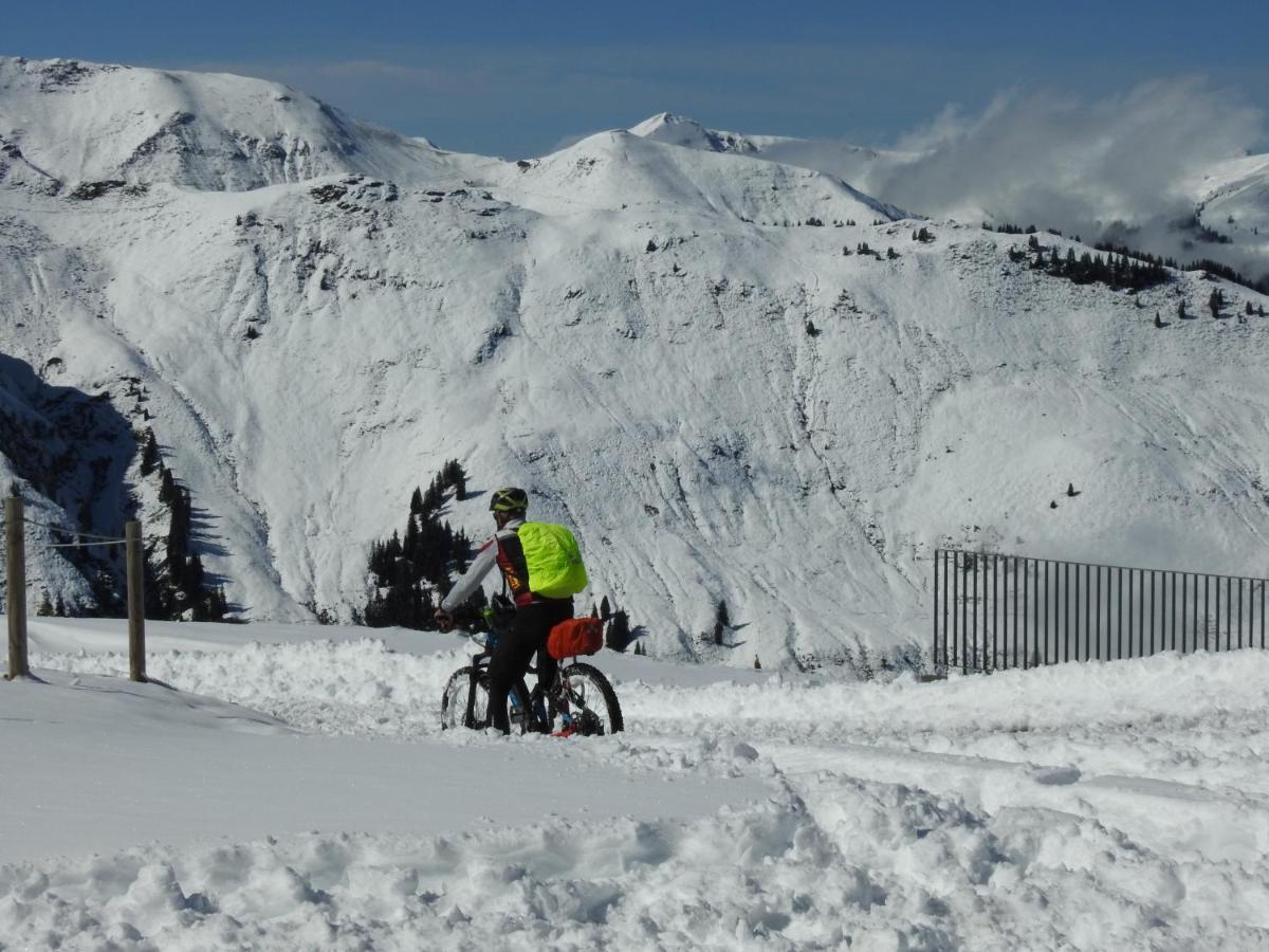 Pension Alpenrose Zell am See Ngoại thất bức ảnh