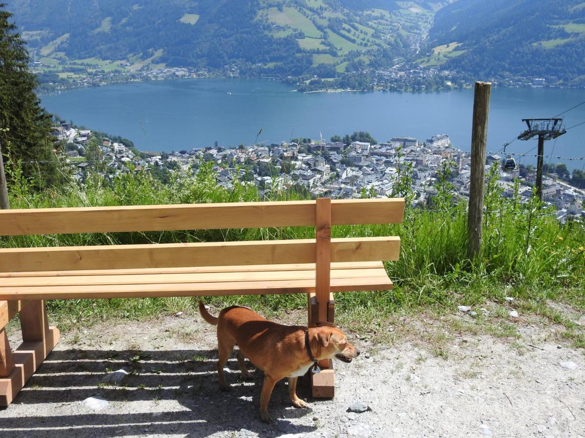 Pension Alpenrose Zell am See Ngoại thất bức ảnh