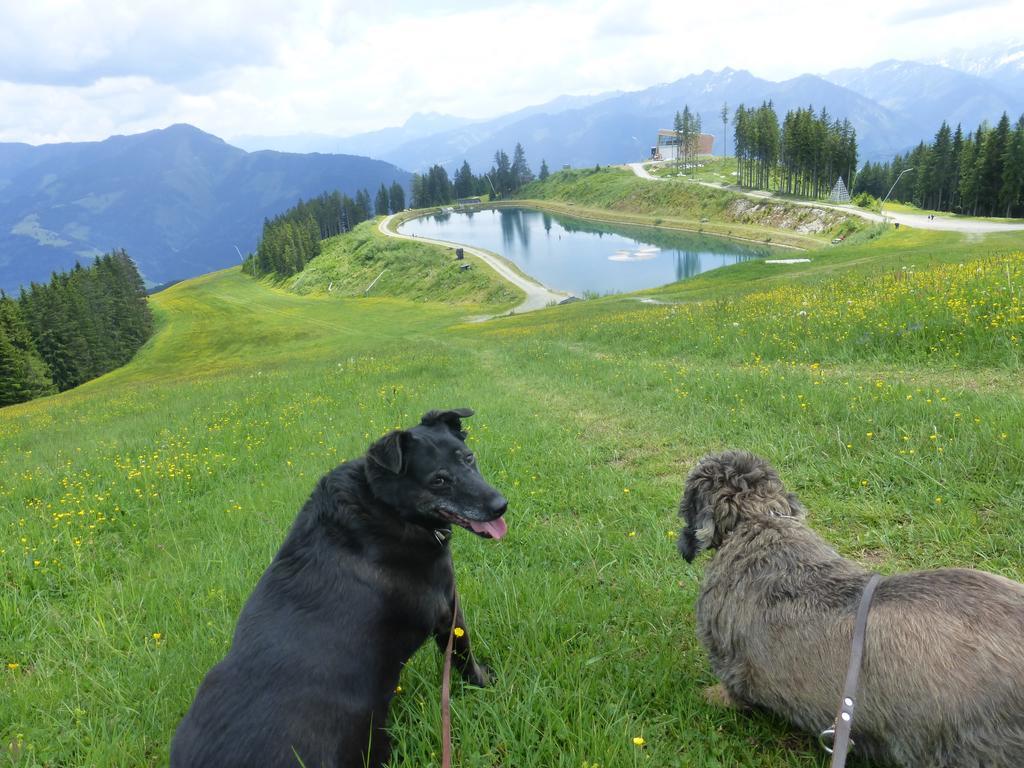 Pension Alpenrose Zell am See Ngoại thất bức ảnh