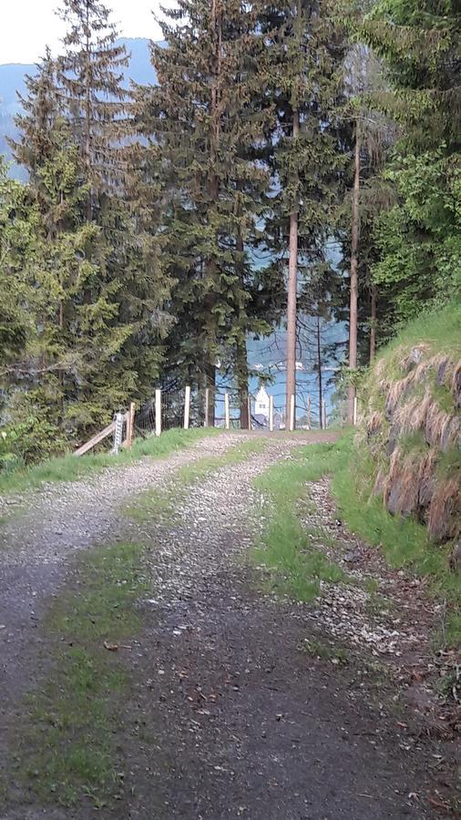 Pension Alpenrose Zell am See Ngoại thất bức ảnh