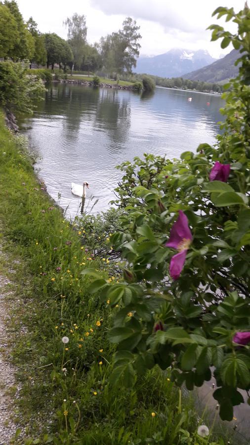 Pension Alpenrose Zell am See Ngoại thất bức ảnh